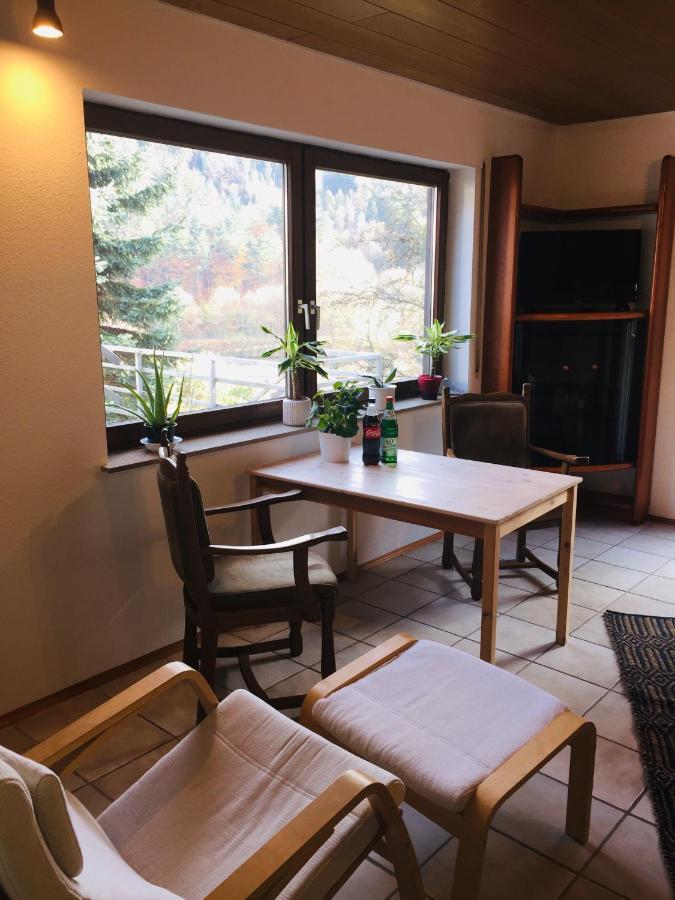Apartment Luftkurort, Perle Des Neckartals Hirschhorn