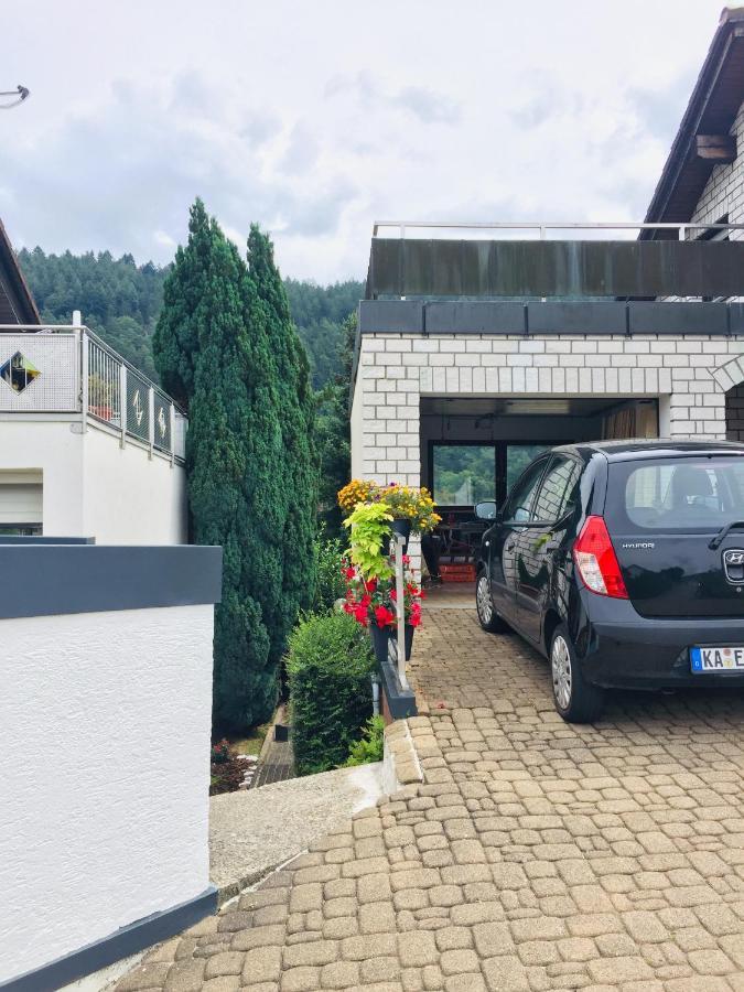 Luftkurort, Perle Des Neckartals Apartment Hirschhorn