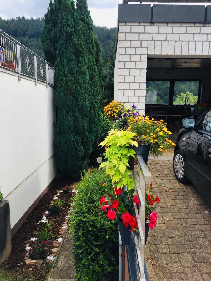 Luftkurort, Perle Des Neckartals Apartment *