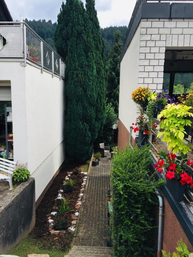 Luftkurort, Perle Des Neckartals Apartment Hirschhorn
