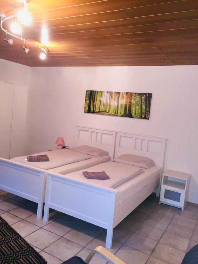 Apartment Luftkurort, Perle Des Neckartals Hirschhorn