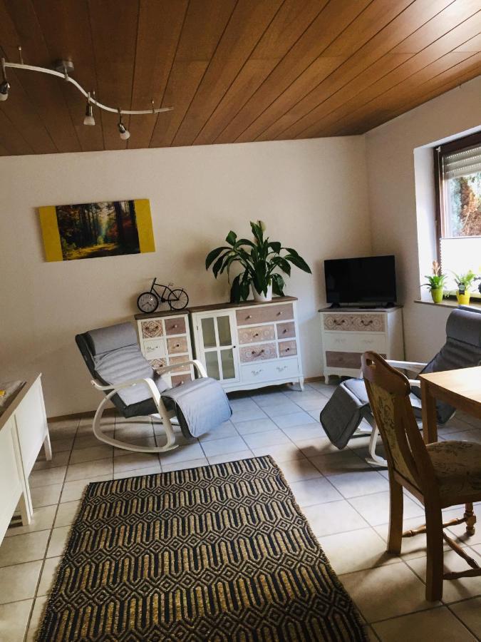 Luftkurort, Perle Des Neckartals Hirschhorn