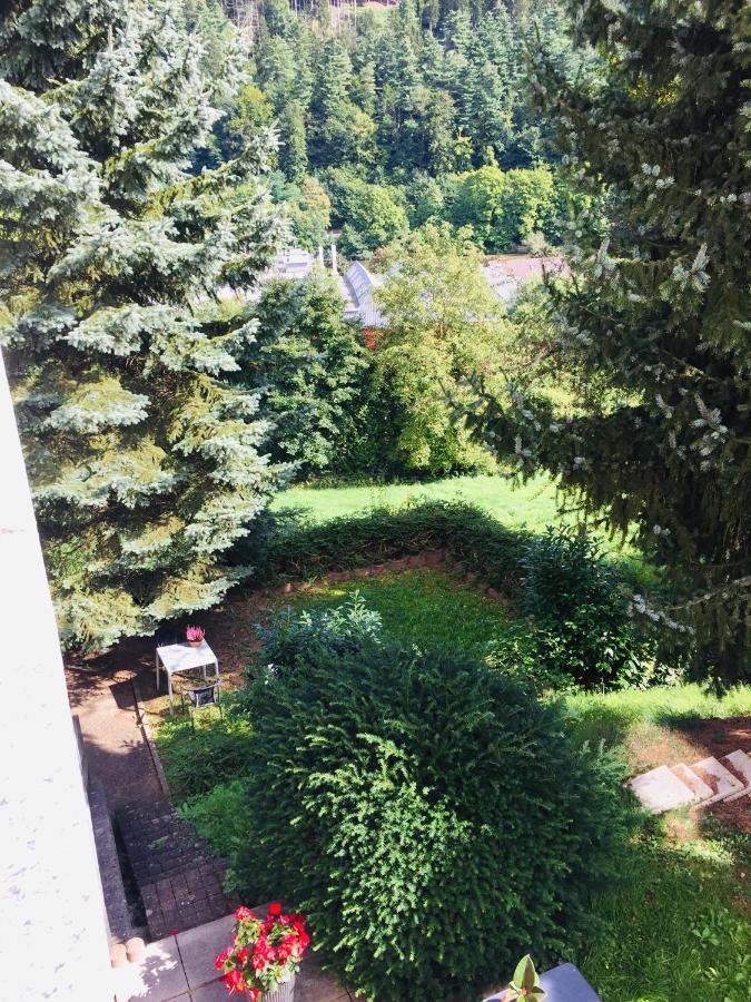 Luftkurort, Perle Des Neckartals Apartment *