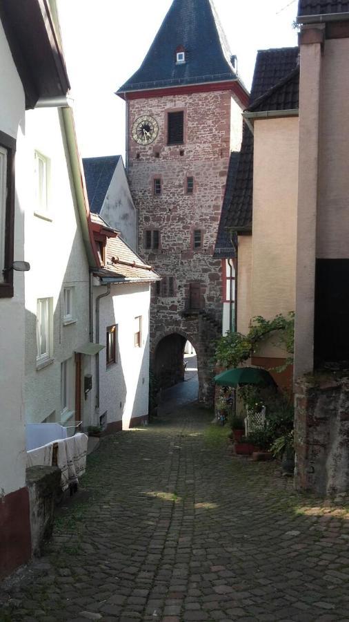 Luftkurort, Perle Des Neckartals Apartment *