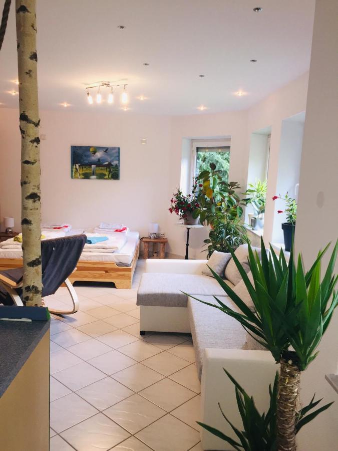 Luftkurort, Perle Des Neckartals Apartment Hirschhorn