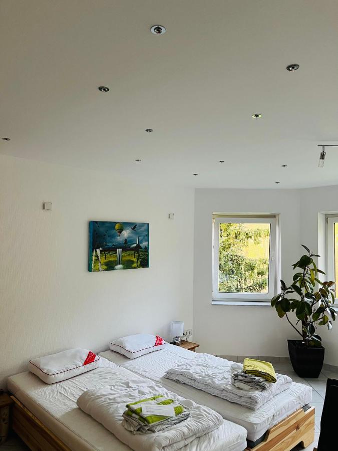 Luftkurort, Perle Des Neckartals Hirschhorn